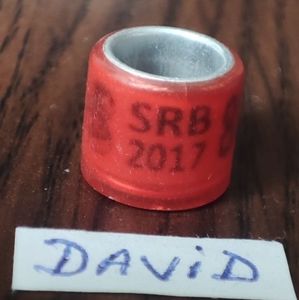 2017-Serbia