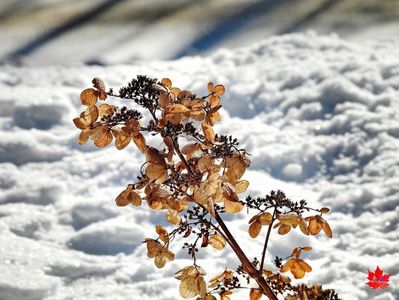 Winter Time 44