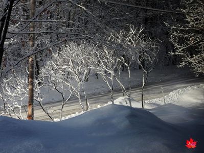 WINTER DECO 7