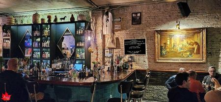 Guadalajara Bar by night 5