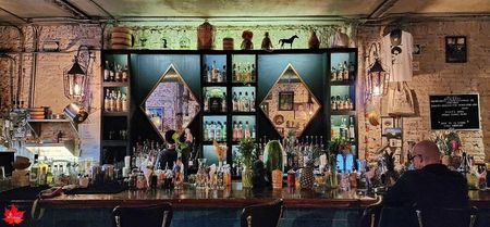 Guadalajara Bar by night 6