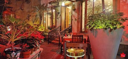 Guadalajara Bar by night 12