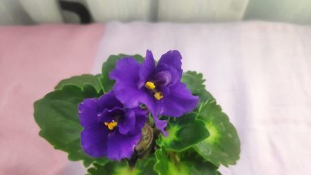 30 oct