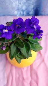 30 apr