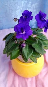 30 apr