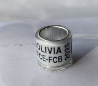 Bolivia rfce fcb 2025