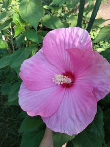 Messenger_creation_A299CDE8-7D67-4FB8-B6DB-460997F275B2