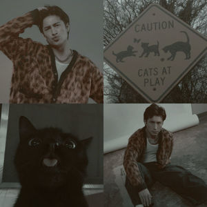 ‧₊˚✩ ᴴᵂ ◜07 ⳽ᥱρtᥱຕᑲᥱɾ◞