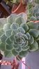 WP_20140828_09_41_33_Pro
