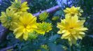WP_20140828_09_47_11_Pro