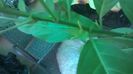 WP_20140828_09_58_53_Pro