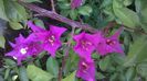 WP_20140828_10_50_50_Pro