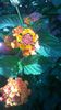 WP_20140828_10_51_27_Pro