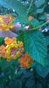 WP_20140828_10_51_55_Pro