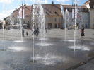 IMG_6887