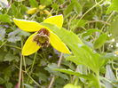 P1230023
