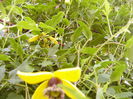 P1230024