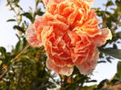 P1230057