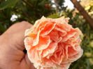 P1230058