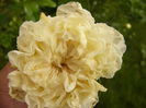 P1230061