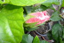 Picture 034