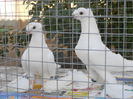 DSCN3079