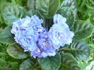 P1110322