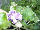 P1110318