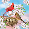 222709-48072-45699929-m750x740-udb32c