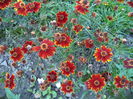 DSC01156