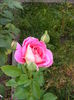 DSCF0038