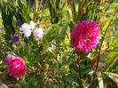 DSCF0044