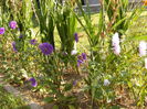 DSCF0045