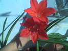 Imag057