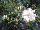 DSC02750