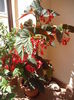 DSCF1319
