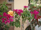 DSCF9698