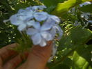 DSCN8576