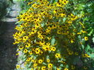 DSCN8578