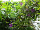 DSCN7764