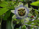 DSCN7781