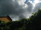 DSCN7789