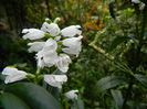 DSCN7791