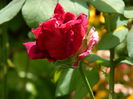 DSCN7795