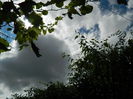 DSCN7799
