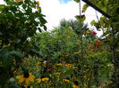 DSCN7801