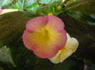 P1070436