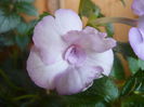 P1070445