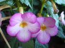 P1070462