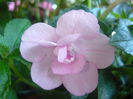 P1070467